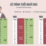 Tuổi nghỉ hưu và thời điểm hưởng lương hưu ứng với năm sinh theo lộ trình từ năm 2021. Đồ họa: Tạ Lư