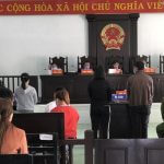 Lừa đảo chiếm tài sản hay gian lận trong kinh doanh bảo hiểm?